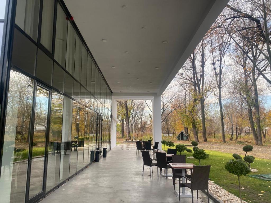 Ocaua Lui Cuza Hotel Tekucs Kültér fotó