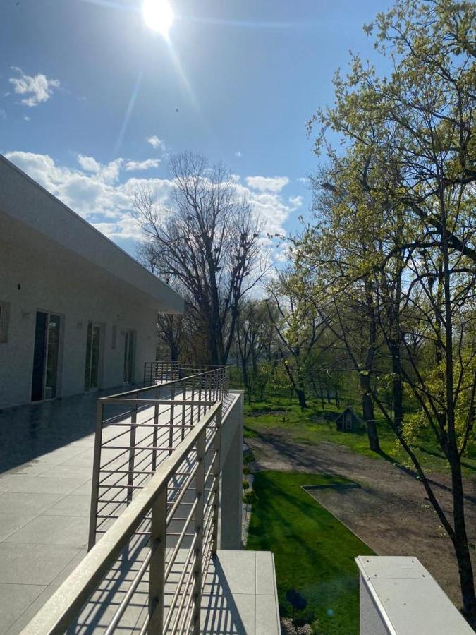 Ocaua Lui Cuza Hotel Tekucs Kültér fotó